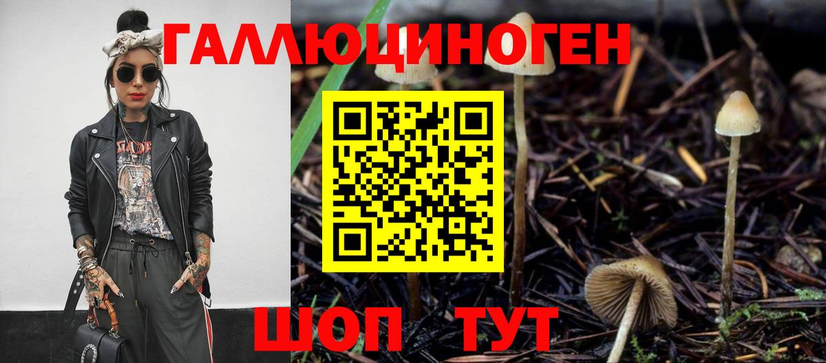 Дербент  Галлюциногенные грибы мухоморы  даркнет сайт  Вход с VPN 